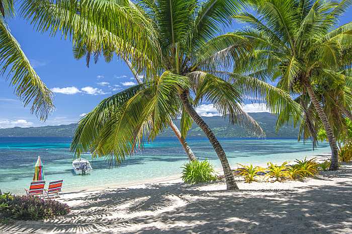 Palm-fringed Caribbean beach with turquoise water, representing a kosher summer vacation in the Caribbean.
