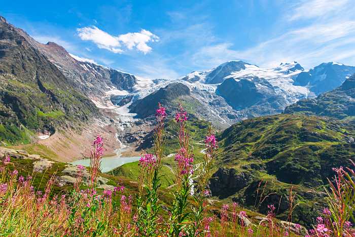 Swiss Alps.