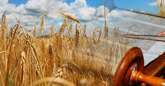 Shavuot programs at hotels and resorts
