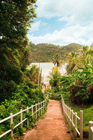 Join Lebor Tours for an 8-day kosher vacation in Panama in March 2027
