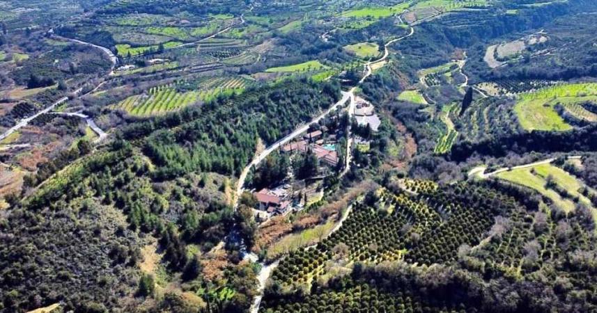 Sukkot 2026 at the Secret Forest Resort in Cyprus