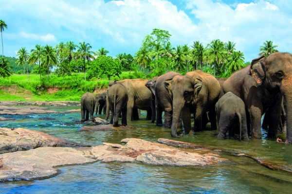 Explore Southern India and Sri Lanka on a luxury kosher cruise with KRC Expeditions