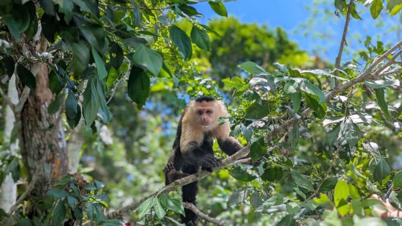 Kosher tour of Panama