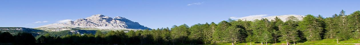 Kosher tours 2025 -Jewish heritage tours - Kosher safari tours