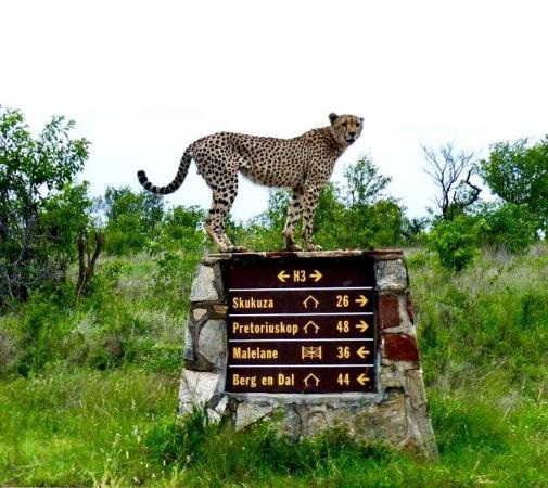 Experience Southern Africa with Emerald Tours on an exclusive luxury kosher safari