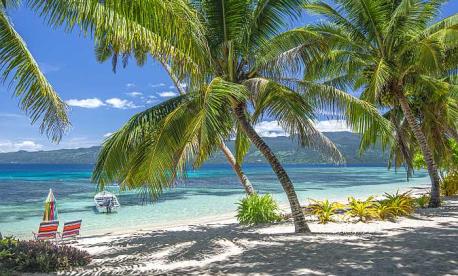 Palm-fringed Caribbean beach with turquoise water, representing a kosher summer vacation in the Caribbean.