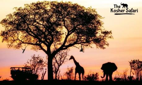 Southern African Kosher Travel 2023 with The Kosher Safari! 