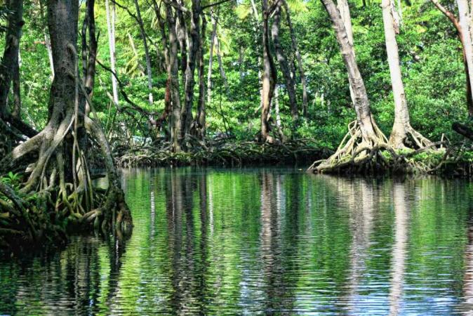 Explore the Amazon on Lebor Tours’ kosher river cruise in August 2027