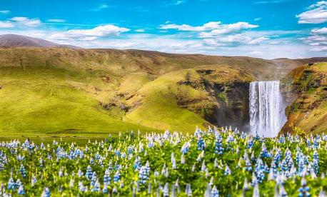 Kosher tour of Iceland