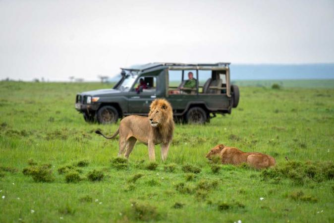 Experience Southern Africa with Emerald Tours on an exclusive luxury kosher safari