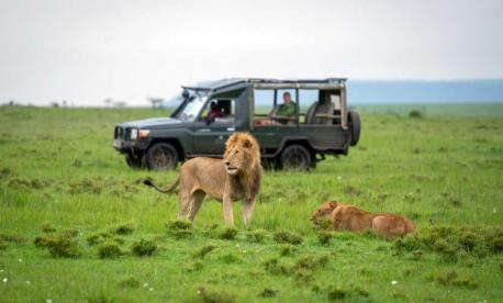 Experience Southern Africa with Emerald Tours on an exclusive luxury kosher safari