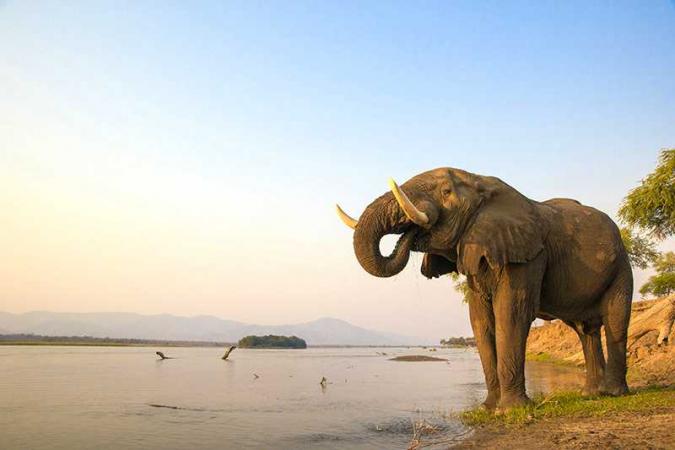 Experience Southern Africa with Emerald Tours on an exclusive luxury kosher safari