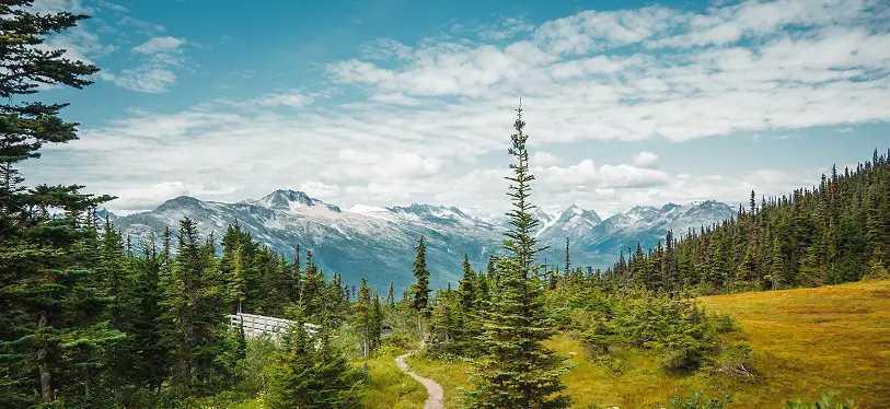 Sail through Alaska in summer 2026 with Golden Tours Kosher Cruises.