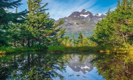 Sail through Alaska in summer 2026 with Golden Tours Kosher Cruises.