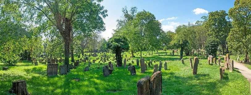 Golden Tours Kosher Rhine River Cruise 2026